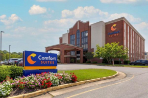 Гостиница Comfort Suites Fredericksburg South  Фредериксберг